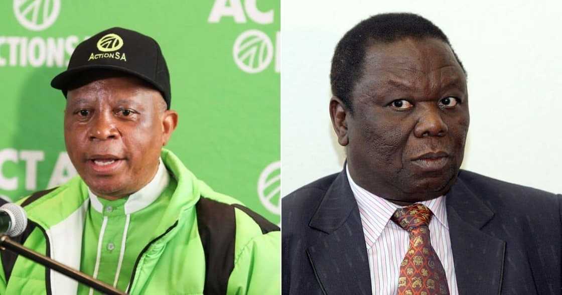 Morgan Tsvangirai, Herman Mashaba, ActionSA, South Africa, Zimbabwe, Jacob Zuma, Duduzane Zuma Morgan Tsvangirai, Herman Mashaba, ActionSA, South Africa, Zimbabwe, Jacob Zuma, Duduzane Zuma