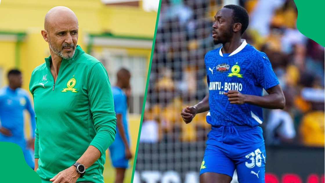 Mamelodi Sundowns coach Miguel Cardoso praised striker Peter Shalulile.