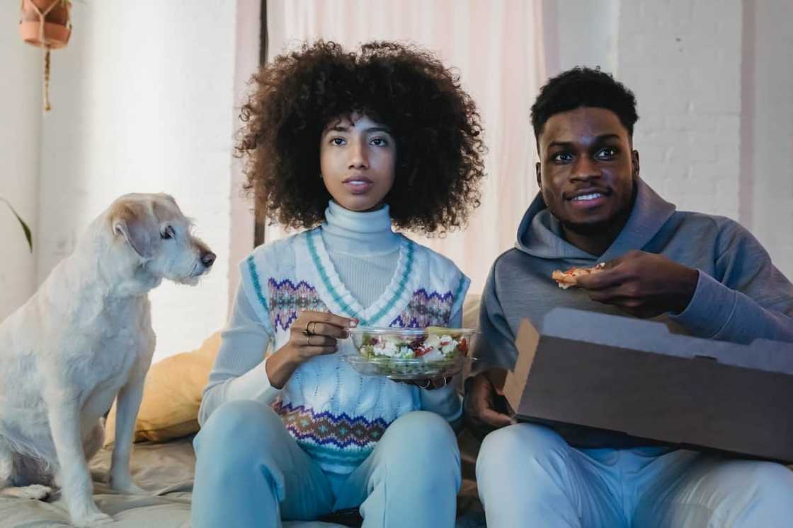 A couple having lunch and watching TV on a couch near a curious dog