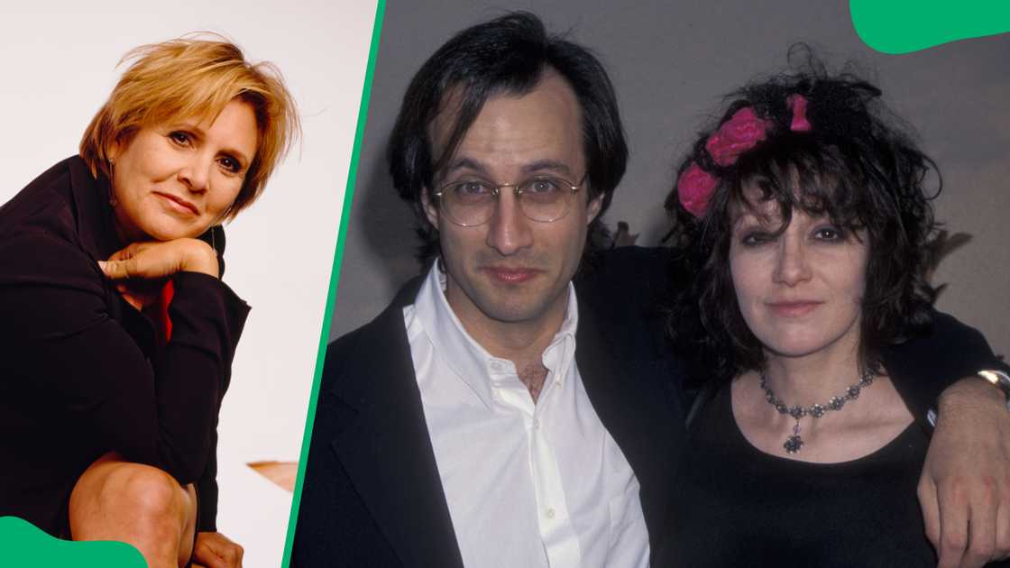 Bronson Pinchot's partners Bronson Pinchot's partners
