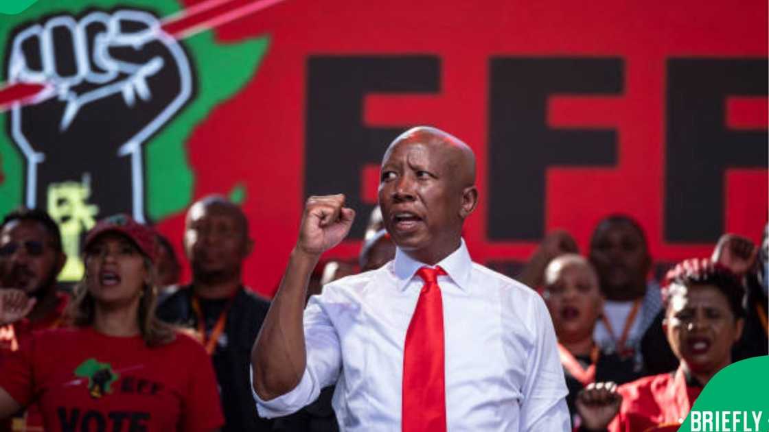 Julius Malema Julius Malema