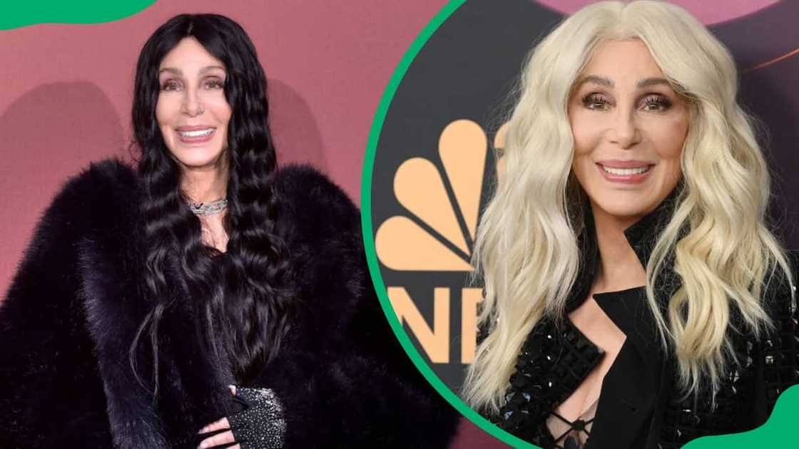 Cher's net worth Cher's net worth