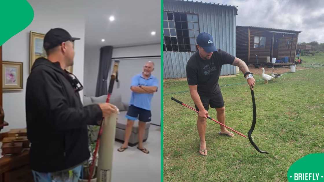 The visual on the right captured a rescuer holding a snake The visual on the right captured a rescuer holding a snake