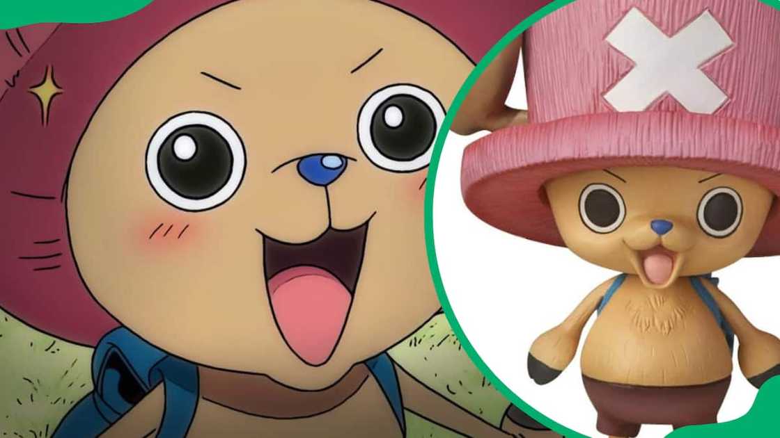 Chopper having a good time Chopper having a good time