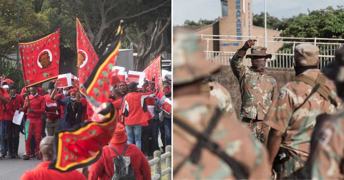 EFF slammed the government for the SANDF deployment EFF slammed the government for the SANDF deployment