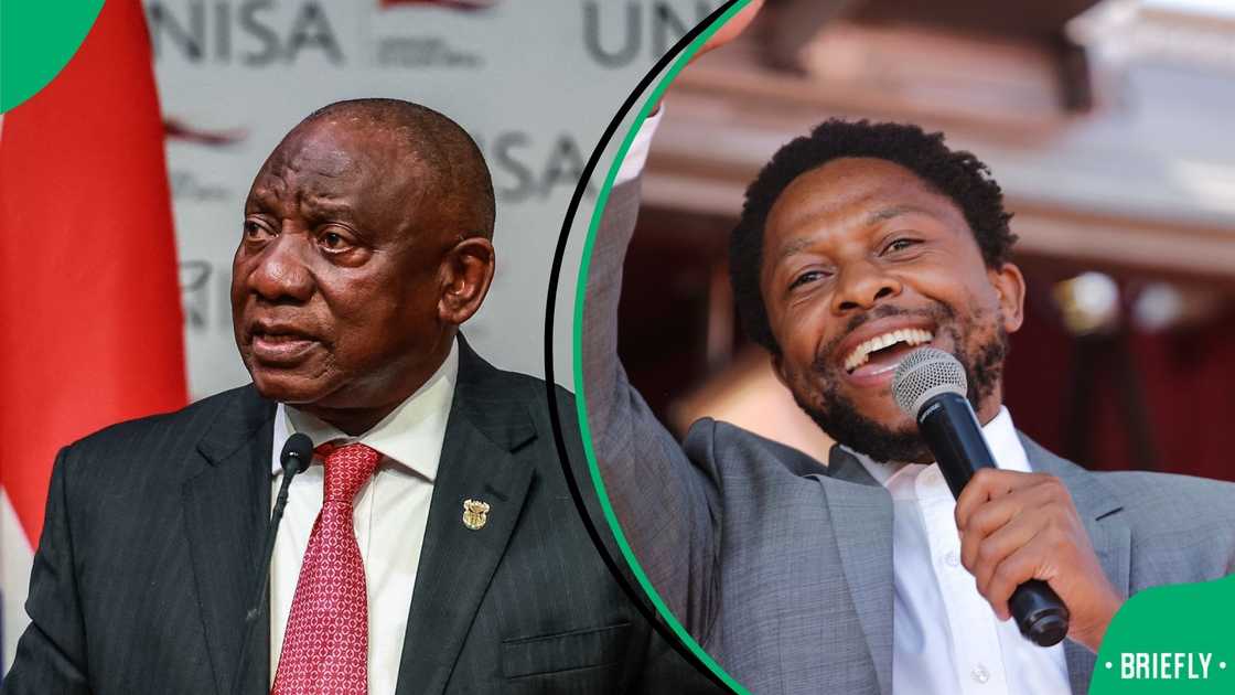 Mbuyiseni Ndlozi criticises Ramaphosa over stalled Madlanga Commission