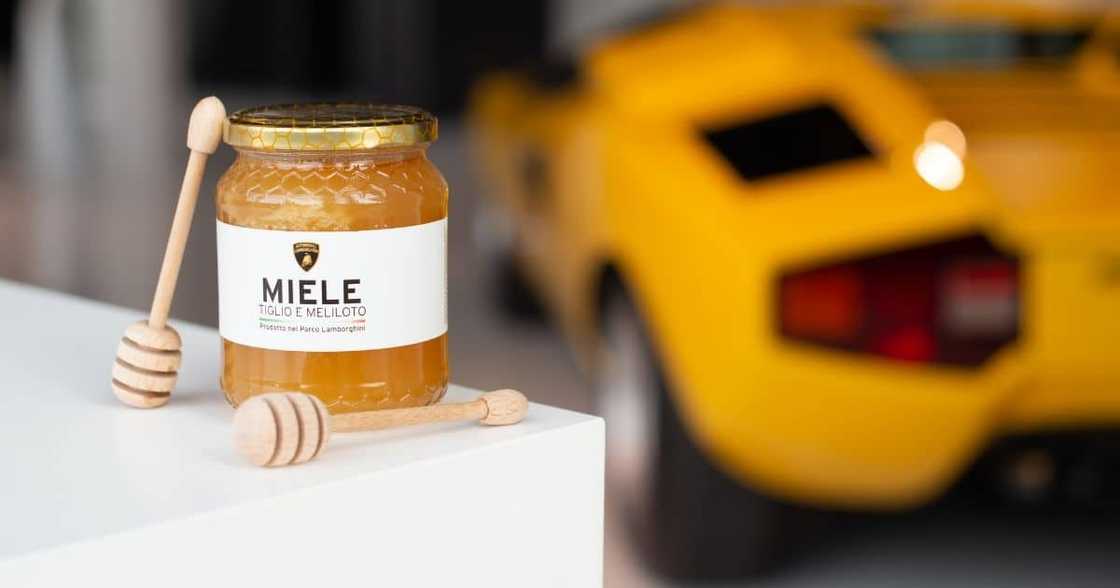 Lamborghini, bees Lamborghini, bees