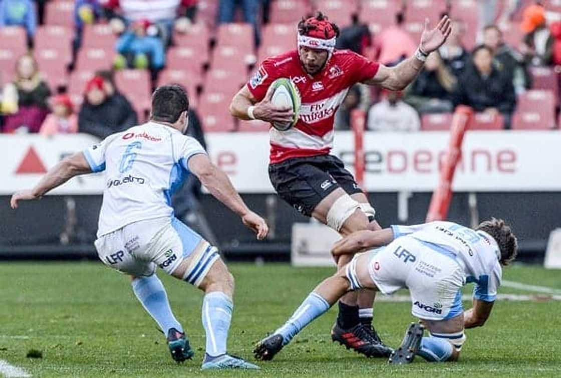 warren whiteley measurements warren whiteley measurements