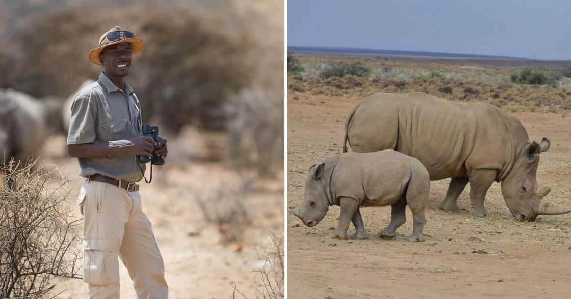 SANParks to implement polygraph testing policy SANParks to implement polygraph testing policy