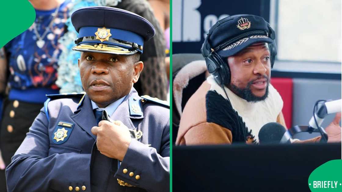 Mbuyiseni Ndlozi wants Ramaphosa and Ian Cameron before Madlanga Commission