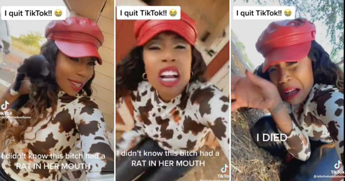 TikTok woman screaming after seeing a mouse in the cats mouth she was holding TikTok woman screaming after seeing a mouse in the cats mouth she was holding