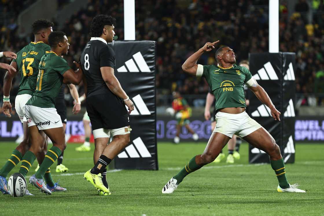 Springboks, All Blacks, Damian Willemse, Rugby Championship