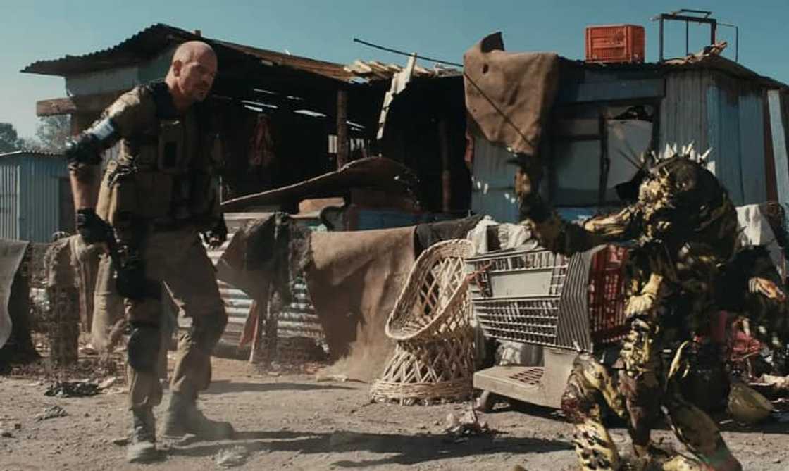 Robert Hobbs net worth Robert Hobbs net worth