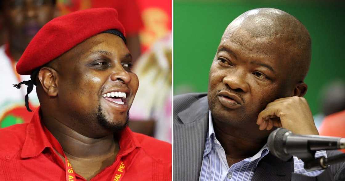 Bantu Holomisa_Floyd Shivambu. Bantu Holomisa_Floyd Shivambu.