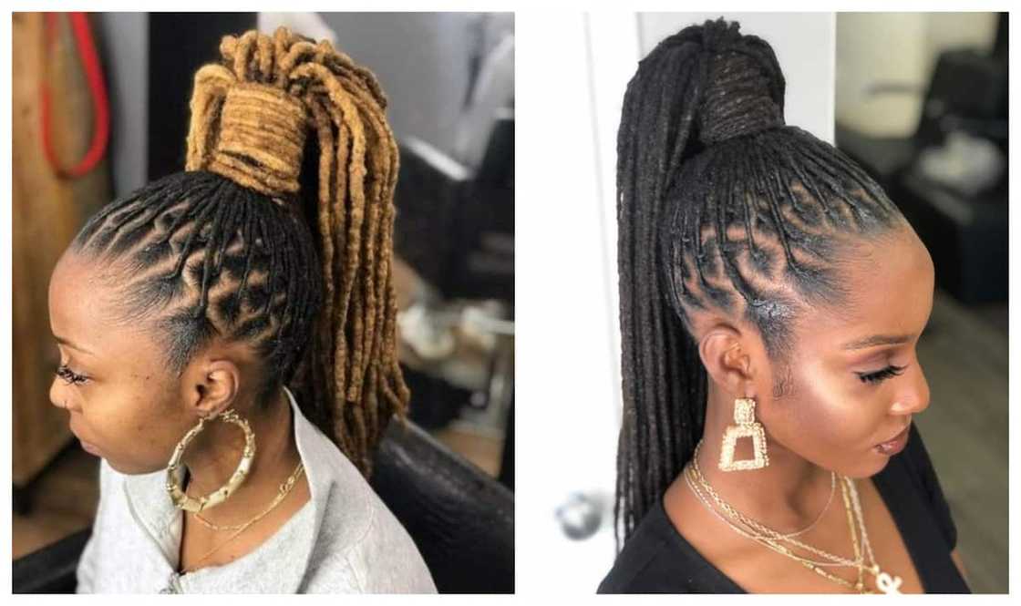 braids rastas