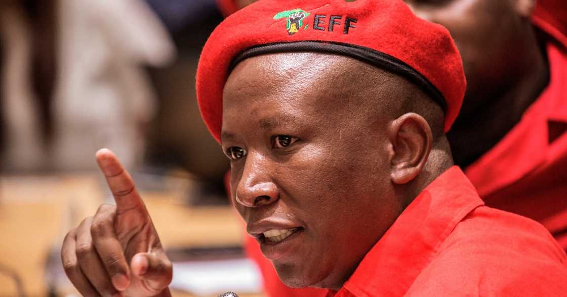 EFF, Julius Malema, unfazed by Operation Dudula critics, uniting Africa, decoloniasation EFF, Julius Malema, unfazed by Operation Dudula critics, uniting Africa, decoloniasation