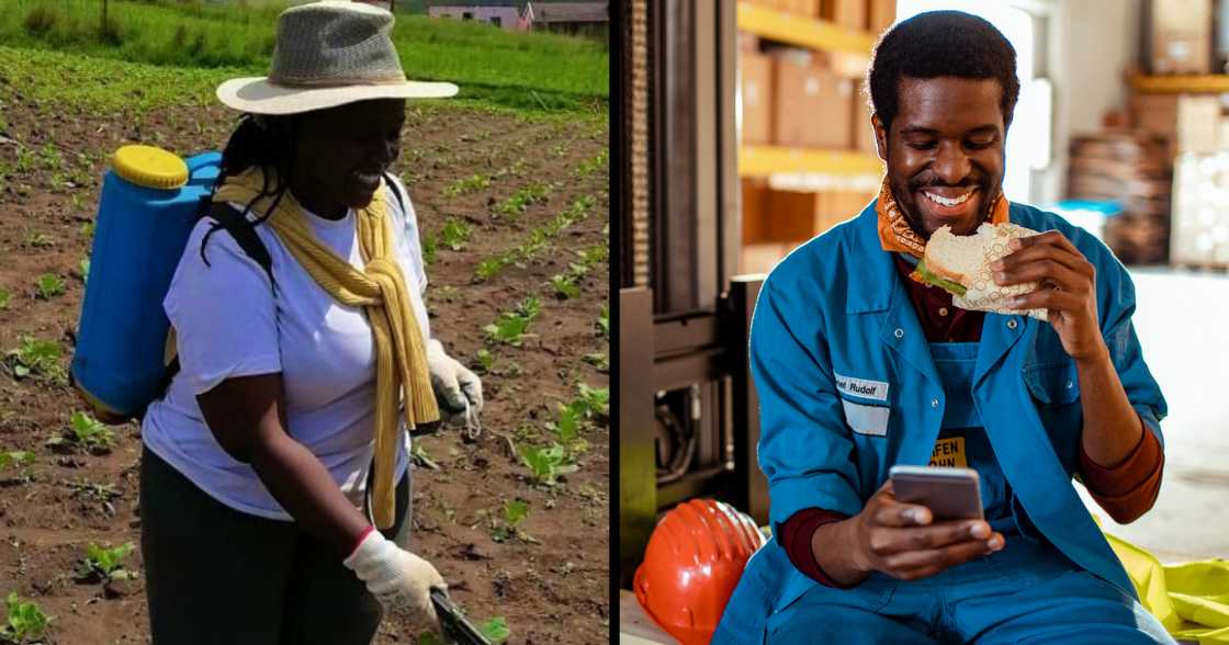 Female farmer, agriculture, business, Spar, Boxer stores, vegetables, supply chain Female farmer, agriculture, business, Spar, Boxer stores, vegetables, supply chain