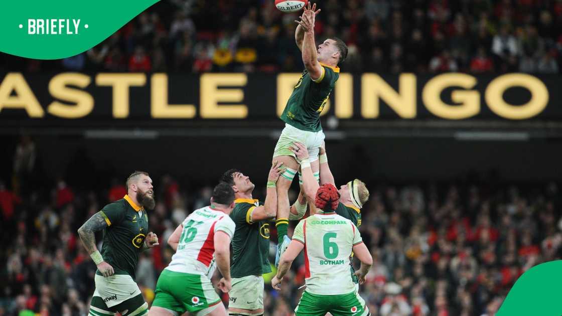 Springboks, Cameron Hanekom, South Africa Springboks, Cameron Hanekom, South Africa