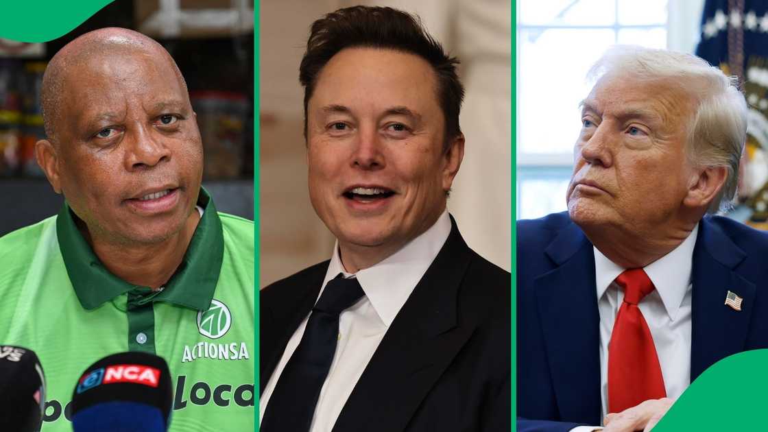 Herman Mashaba tears into Elon Musk over Donald Trump declaration Herman Mashaba tears into Elon Musk over Donald Trump declaration
