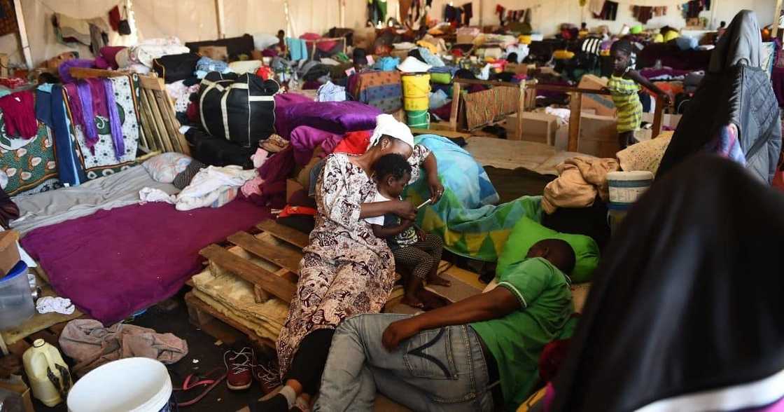 Cape town refugees, decide, three months or ticket home Cape town refugees, decide, three months or ticket home