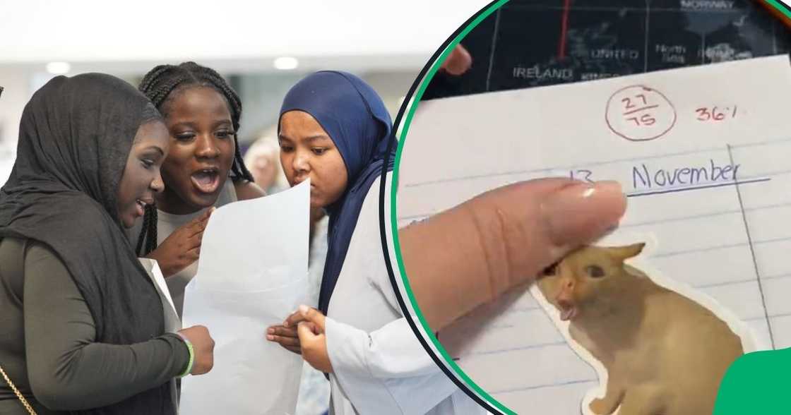 Teacher shares hilarious marking Teacher shares hilarious marking