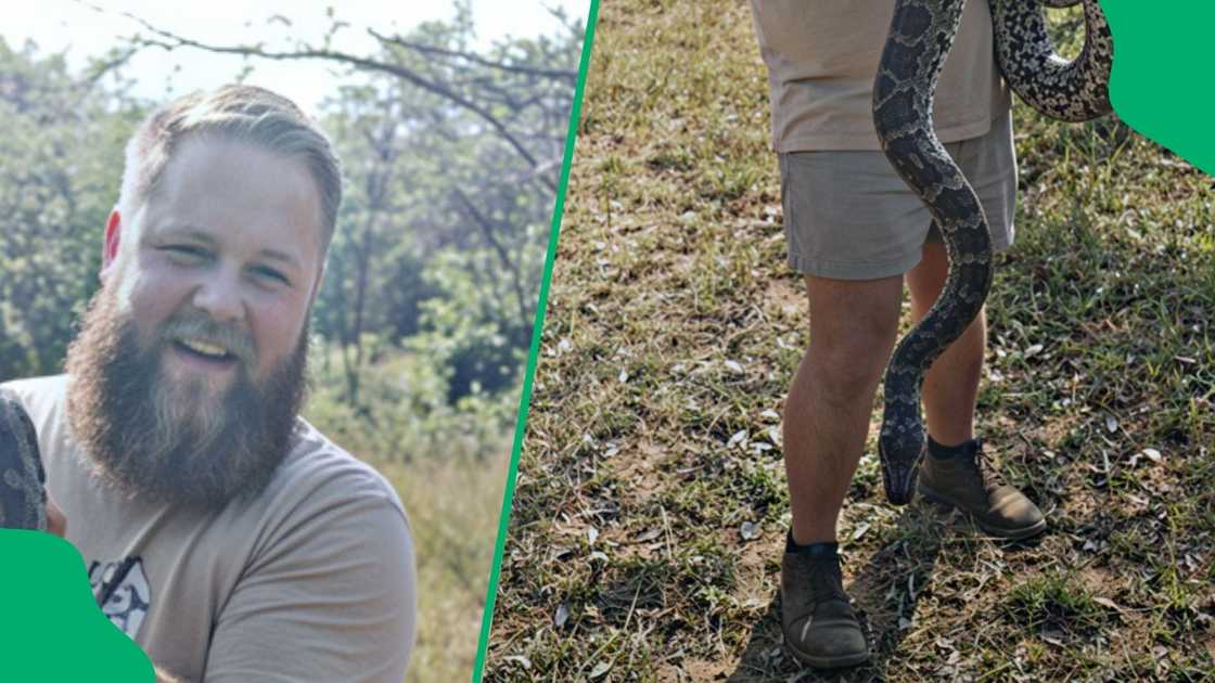 Man handling snake gets attacked by python