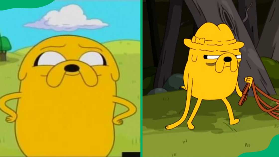Jake the Dog from Adventure Time. Jake the Dog from Adventure Time.