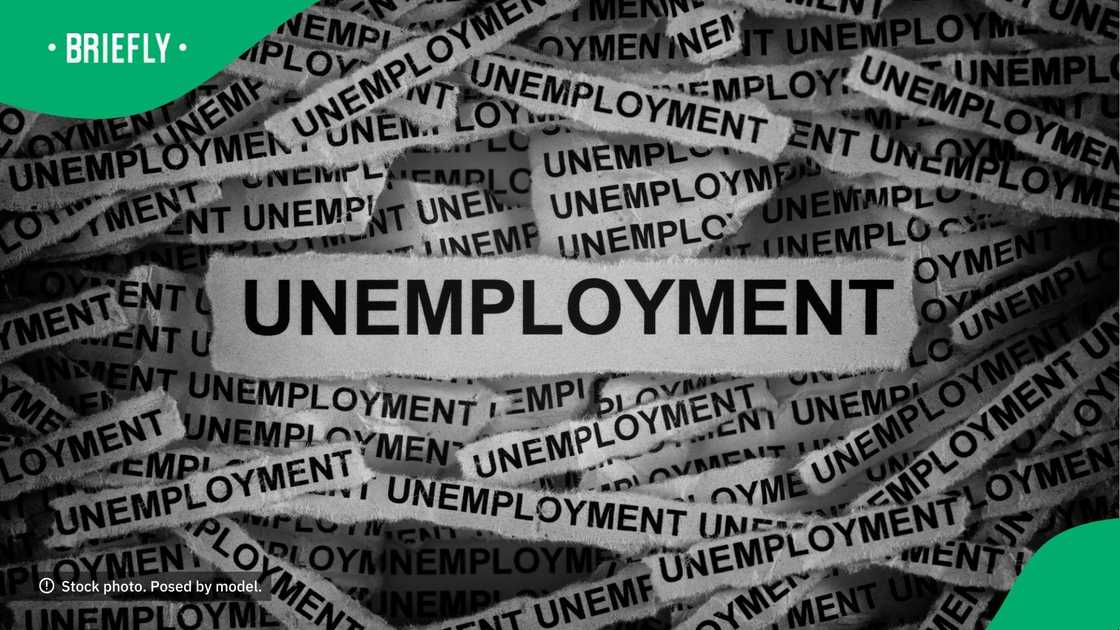 A TikTok clip showed scores of people queuing for jobs, raising concerns about unemployment in the country A TikTok clip showed scores of people queuing for jobs, raising concerns about unemployment in the country