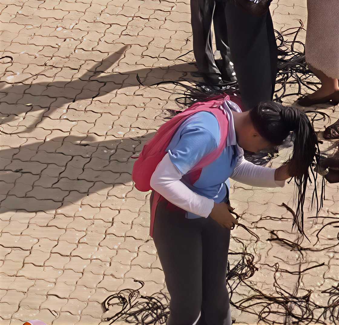 A schoolgirl's braids were cut off by educators.