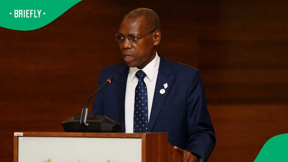 Former Healt Minister Zweli Mkhize discussed the ANC's elective process