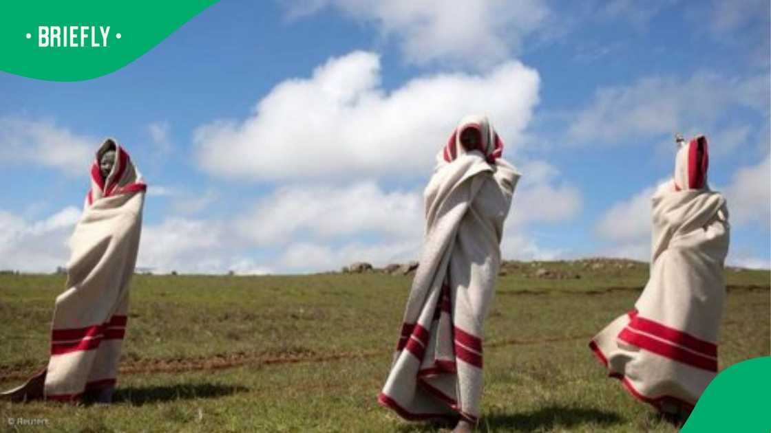 Tomase Koni disappeared on Sunday night Tomase Koni disappeared on Sunday night