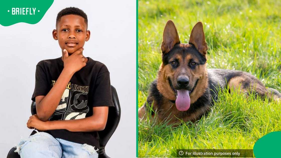 Nnete Leotlela survived an attack by five German Shepherds in Maseru in Lesotho Nnete Leotlela survived an attack by five German Shepherds in Maseru in Lesotho