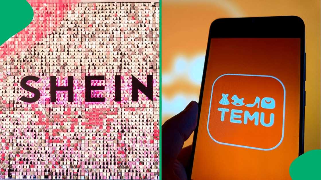 Products from Shein and Temu were found to have toxic substances