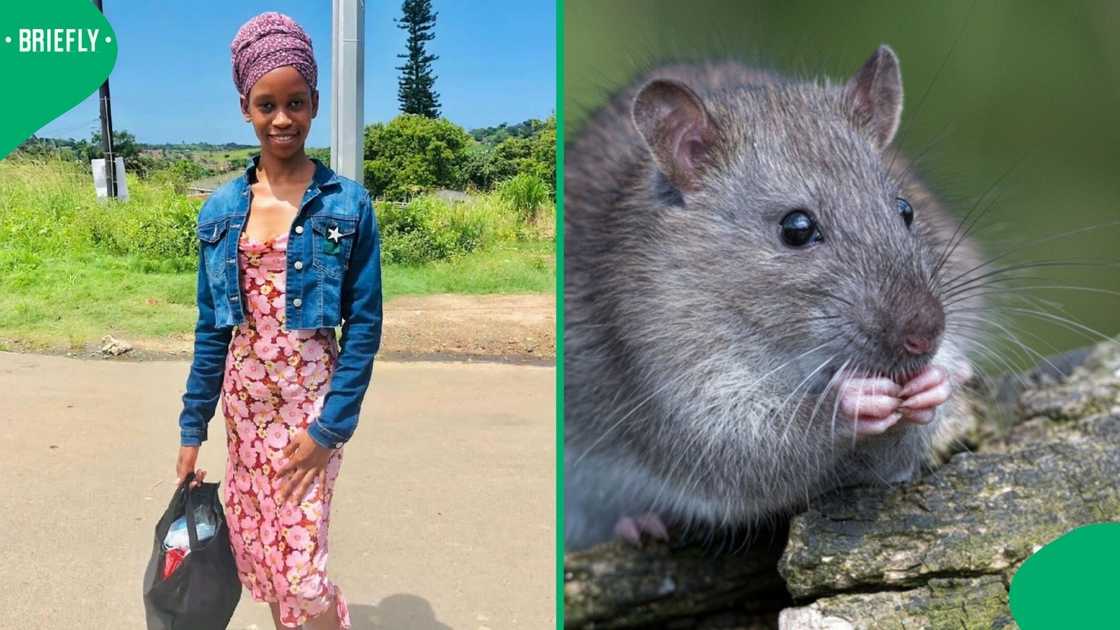 A woman showcased a rat rolling around the floor in her home.