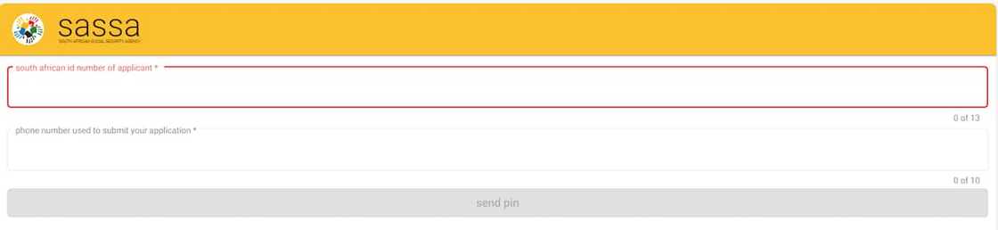 srd.sassa.gov.za application