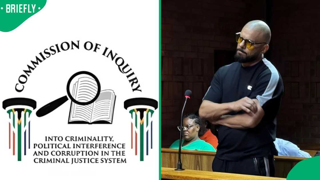 The Madlanga Commission of Inquiry welcomed the arrest of Suliman Carrim