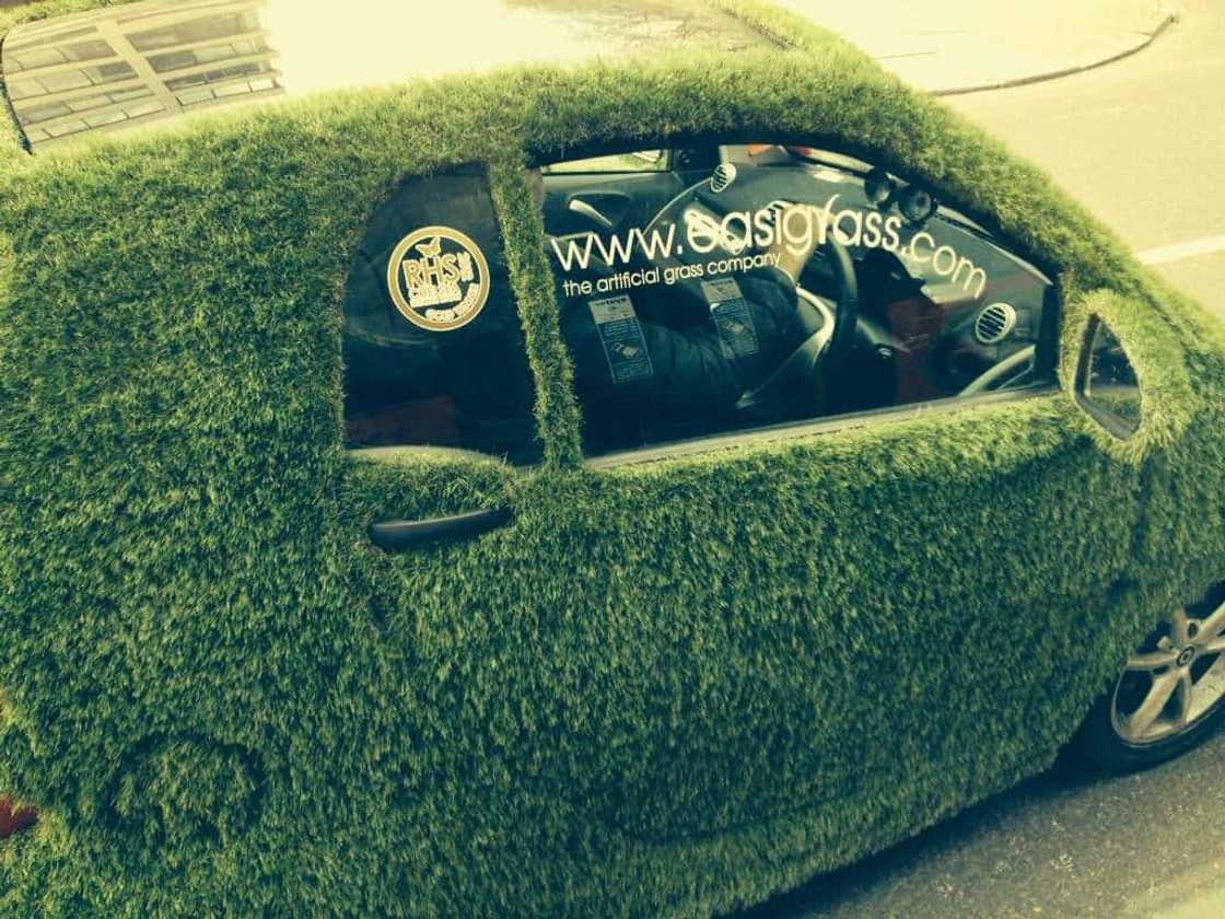 artificial grass ideas artificial grass ideas