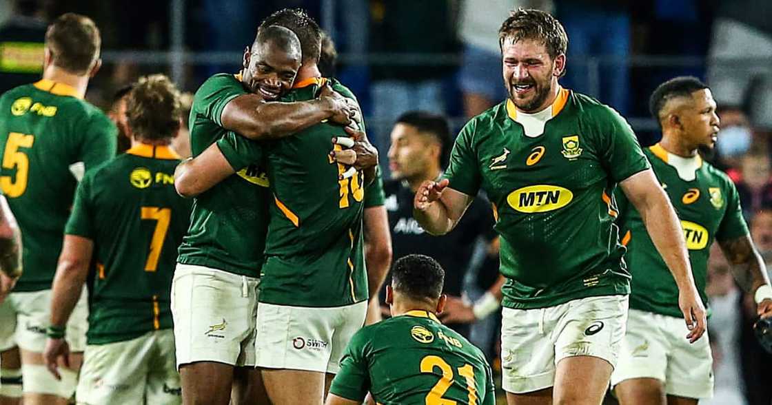 Springboks, All Blacks, Rugby, sport Springboks, All Blacks, Rugby, sport