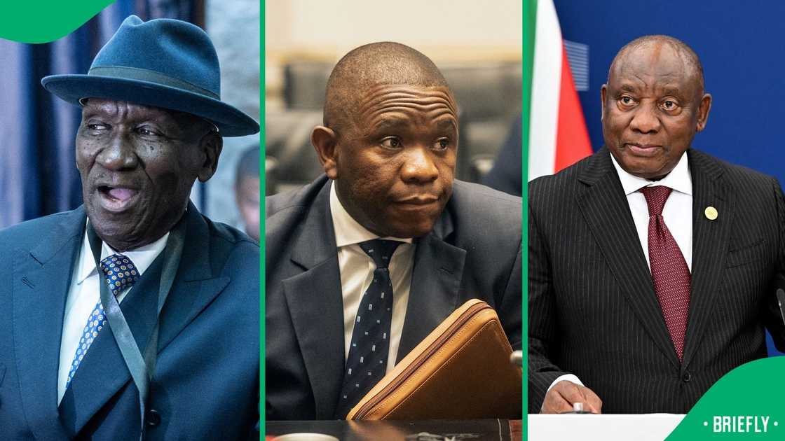 SA politicians, top cops, alleged criminals and their American celebrity lookalikes