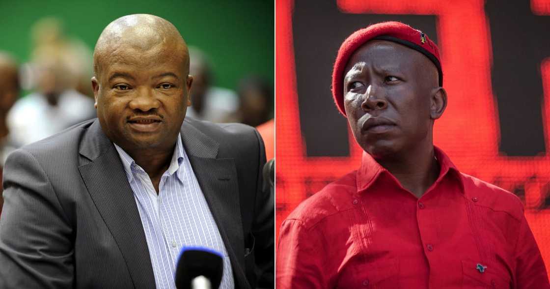 Bantu Holomisa, Julius Malema, Untouchables, ANC, Lindiwe Sisulu, untied democratic movement, economic freedom fighters