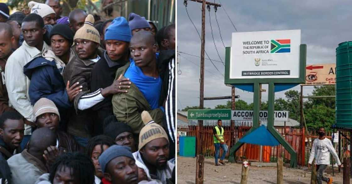 Zimbabwe Migrants Zimbabwe Migrants