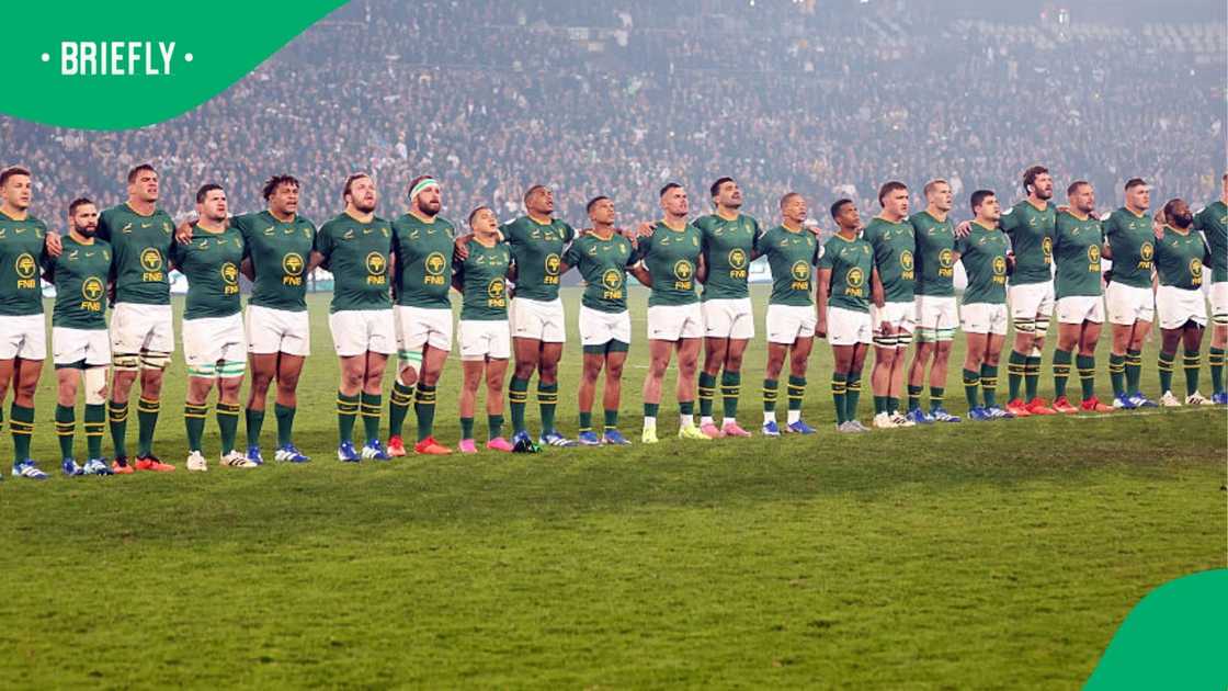 Springboks team