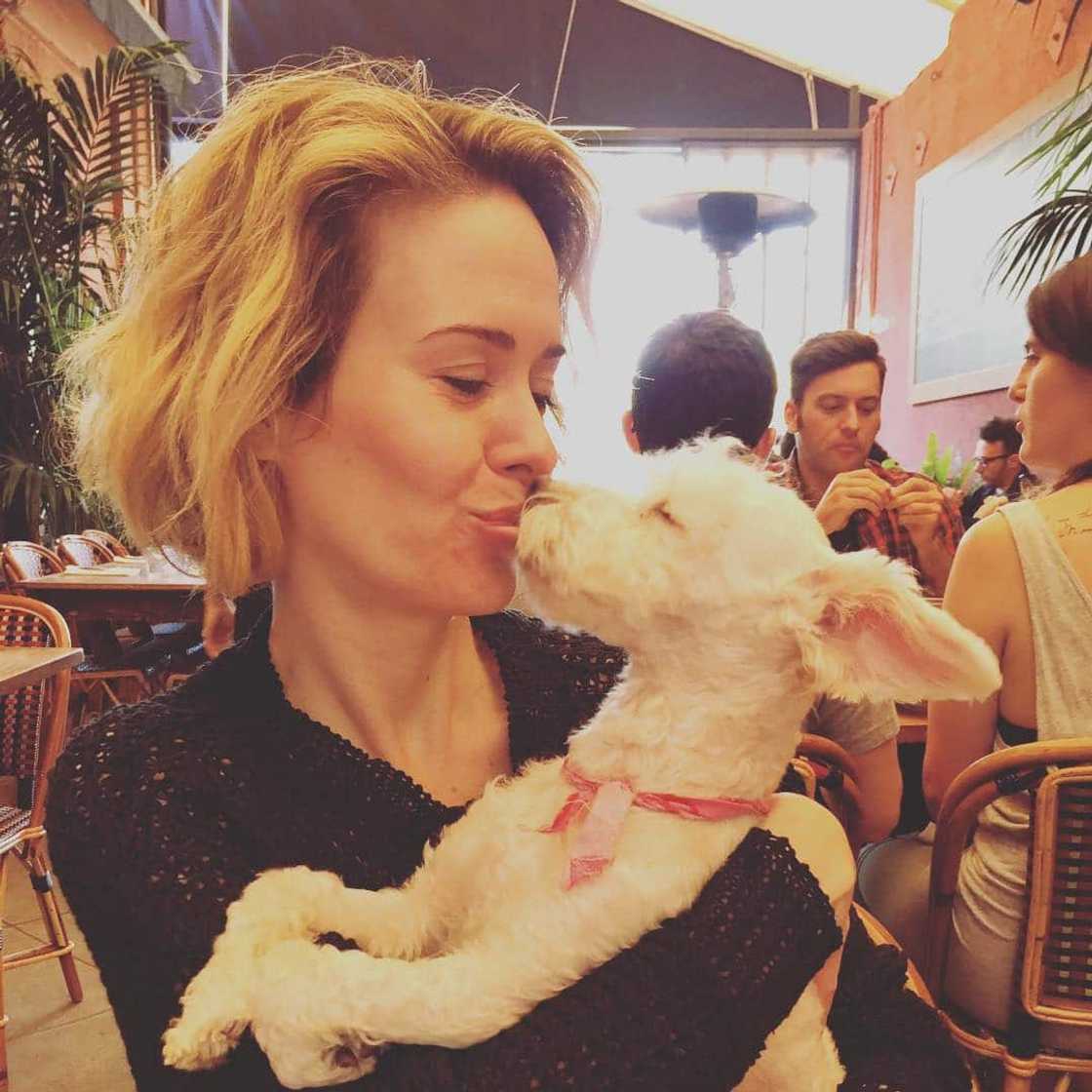 Sarah Paulson bio