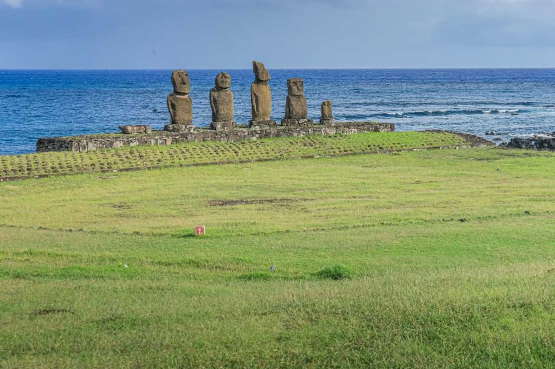 The stone statues of Easter Island The stone statues of Easter Island