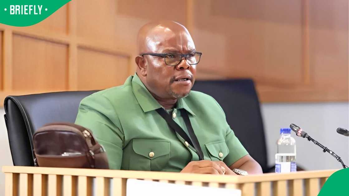 General Lesetja Senona claims he's being prejudiced General Lesetja Senona claims he's being prejudiced