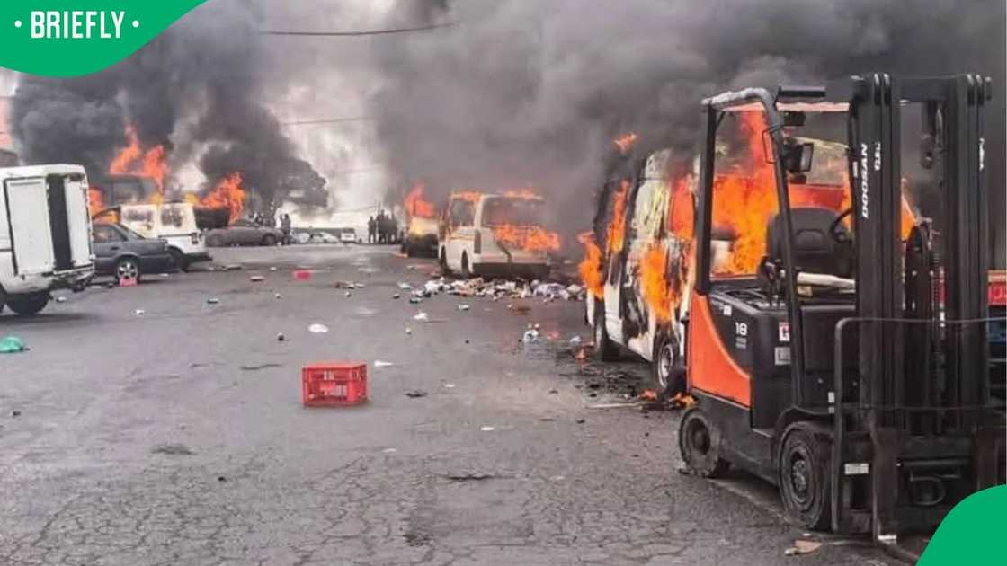 The peaceful protest soon turned violent as numerous vehicles were torched