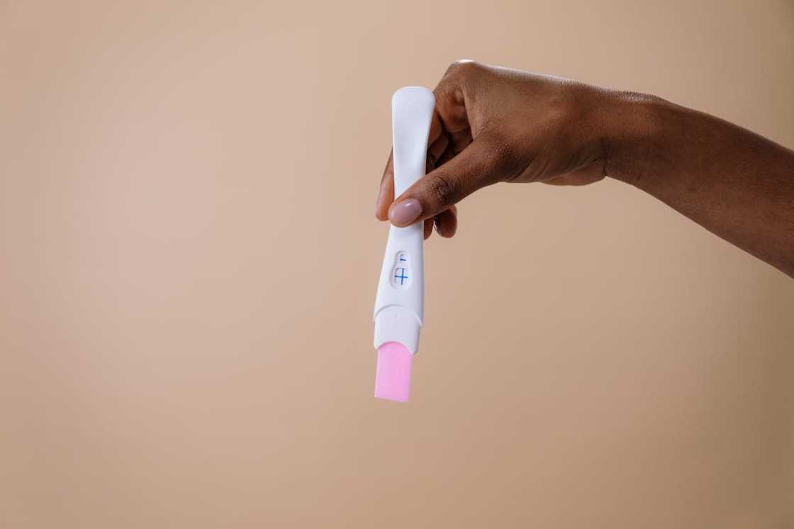 A woman holds a positive pregnancy test. A woman holds a positive pregnancy test.