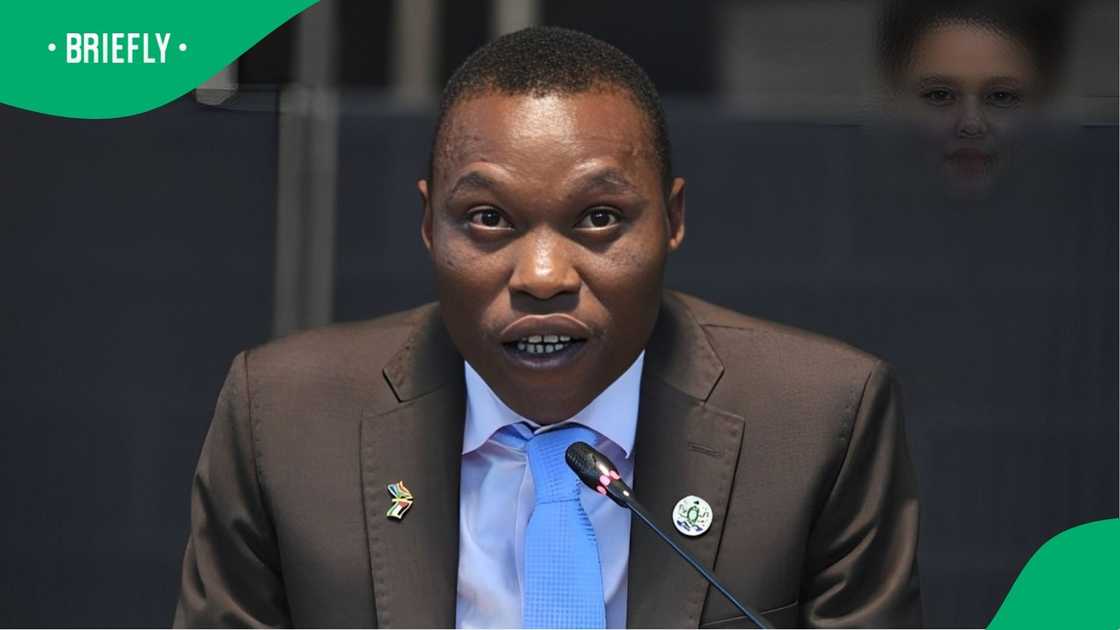 Gwamanda off the hook for now as NPA left red-faced amid missing charge sheet Gwamanda off the hook for now as NPA left red-faced amid missing charge sheet