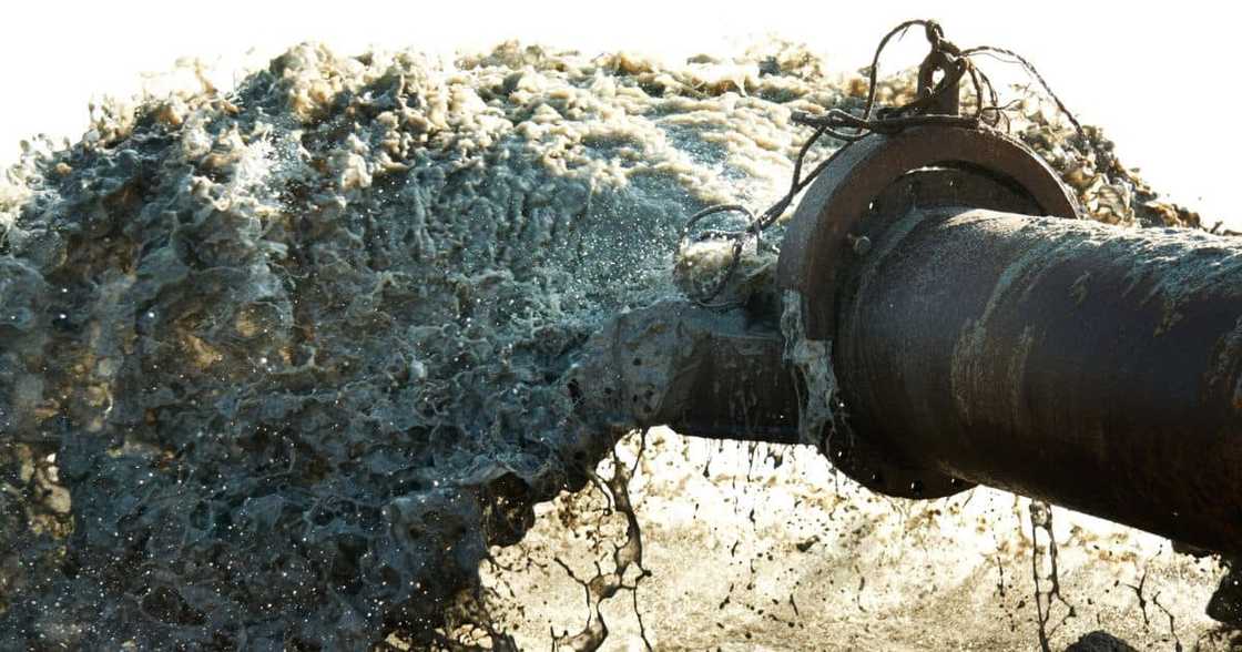 Sewerage tender issues in the Central Karoo have caused a confrontation between the DA and Patriotic Alliance Sewerage tender issues in the Central Karoo have caused a confrontation between the DA and Patriotic Alliance