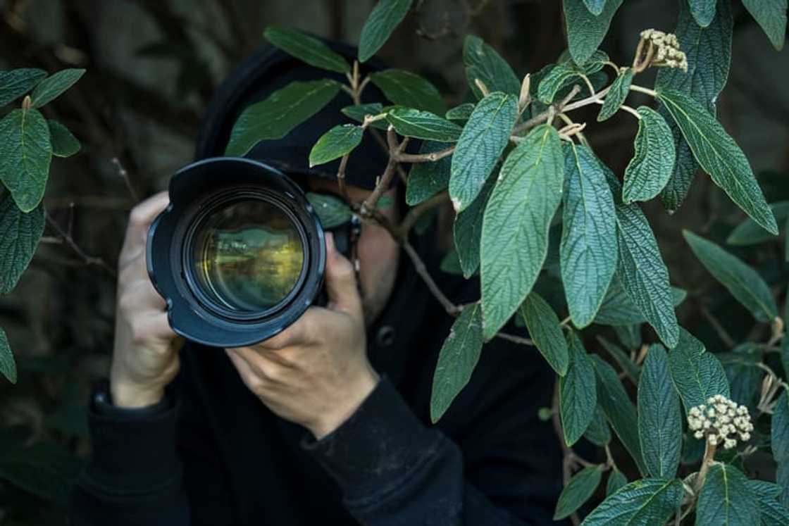 private investigator private investigator